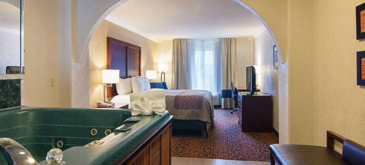 休斯顿基-卡蒂舒适套房酒店(Comfort Inn & Suites Houston West-Katy)图片