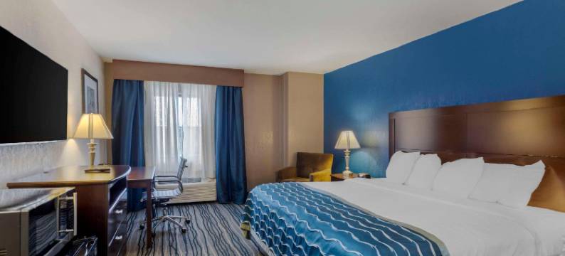 纳什维尔/布伦特伍德贝蒙特旅馆套房酒店(Comfort Inn & Suites)图片