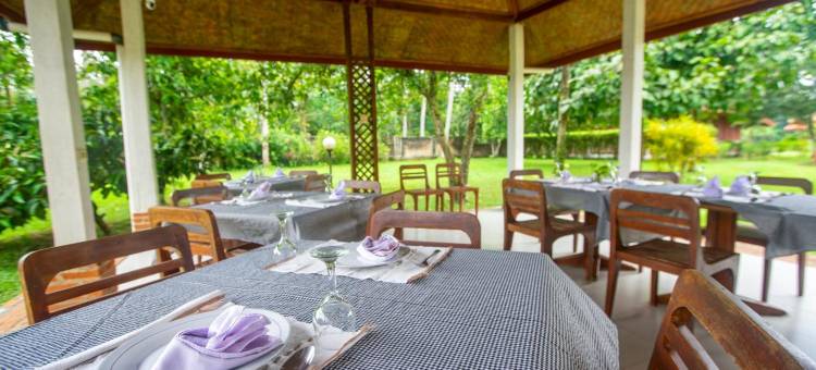 萨特沃大象生态酒店(Satwa Elephant Eco Lodge)图片