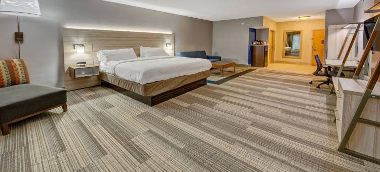 智选假日套房酒店伦敦(Holiday Inn Express & Suites London)图片