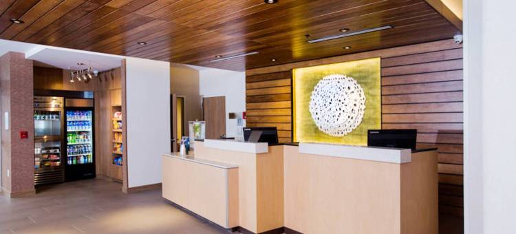 费城布鲁莫尔-新镇广场万枫套房酒店(Fairfield Inn & Suites Philadelphia Broomall/Newtown Square)图片