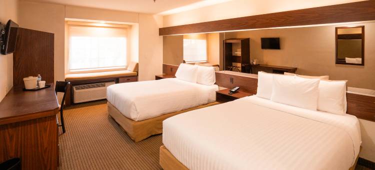 Microtel Inn & Suites by Wyndham Ciudad Juarez/US Consulate图片