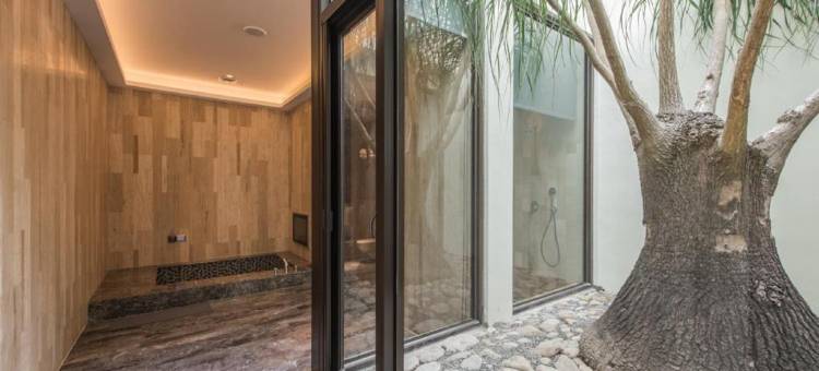 棕榈湖岸精品旅馆图片