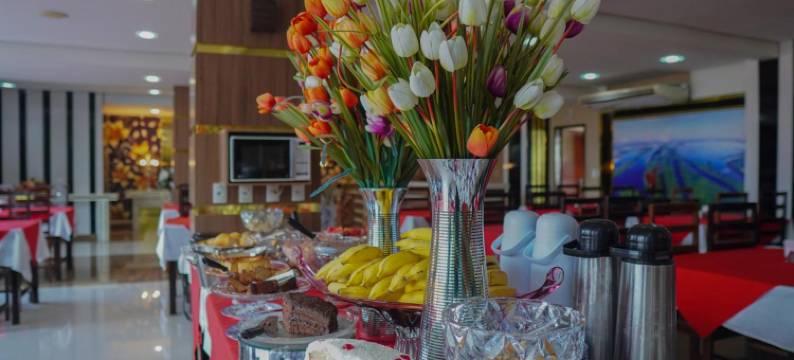 亚马逊皇宫酒店(Amazônia Palacce Hotel)图片