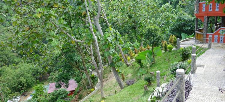 猩猩酒店(Hotel Orangutan)图片