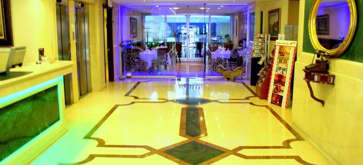 伊斯坦布尔托普卡帕间酒店(Topkapi Inter Istanbul Hotel)图片