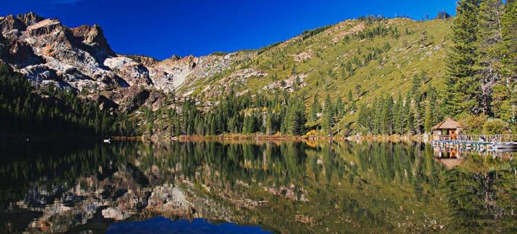 德克萨斯米申 6 号汽车旅馆(Motel 6 Mission, TX)图片