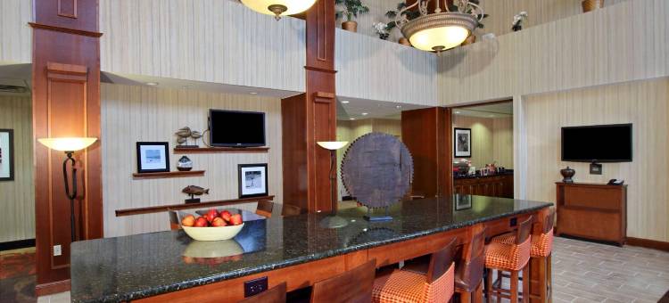 埃克莫尔东海岸希尔顿欢朋套房酒店(Hampton Inn & Suites Exmore - Eastern Shore)图片