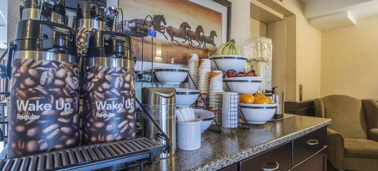 埃德森舒适酒店(Comfort Inn & Suites)图片