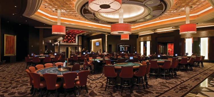 芝加哥麦考密克广场凯悦酒店(Hyatt Regency McCormick Place Chicago)图片