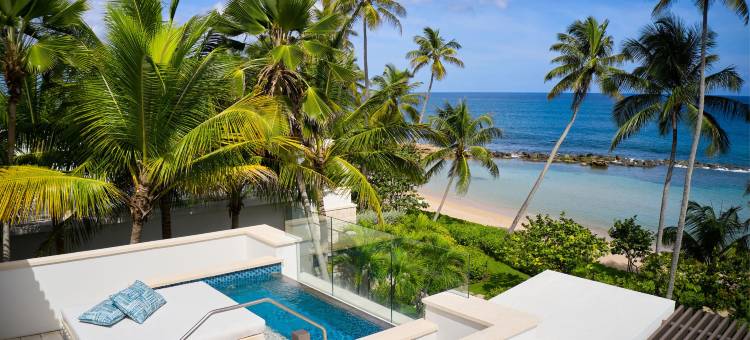 多拉多海滩丽思卡尔顿隐世酒店(Dorado Beach, a Ritz-Carlton Reserve)图片