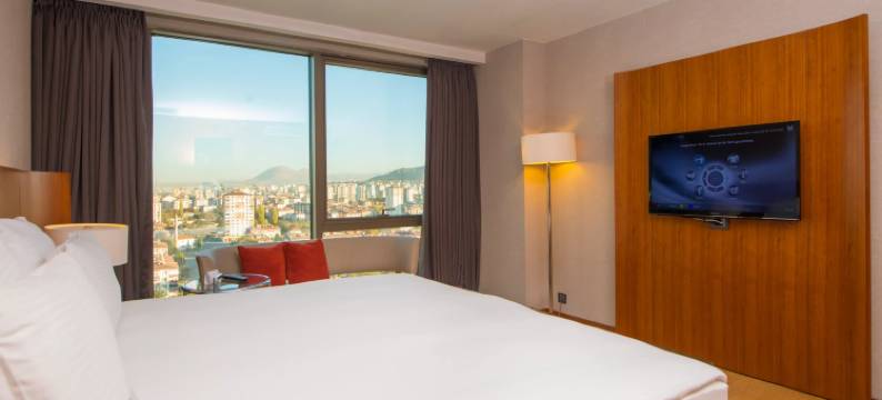 凯瑟里皇冠假日酒店(Crowne Plaza KAYSERI by IHG)图片