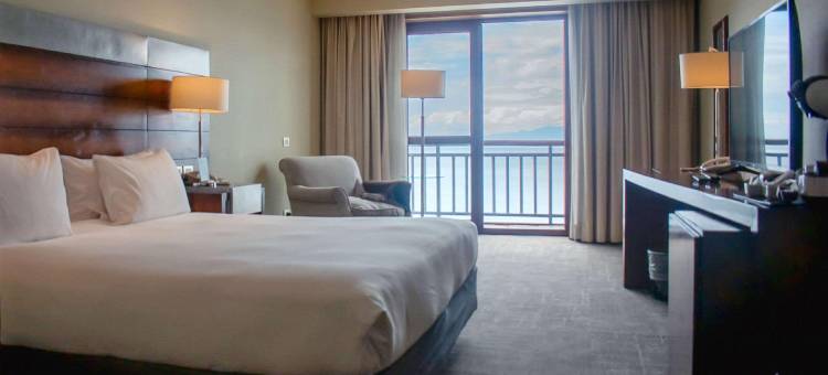 维拉斯港丽笙酒店(Radisson Hotel Puerto Varas)图片