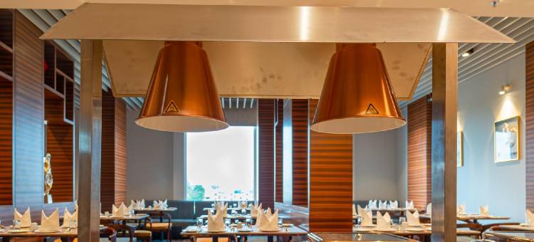 赛雅吉•波泰尔豪华酒店(Effotel by Sayaji Bhopal)图片