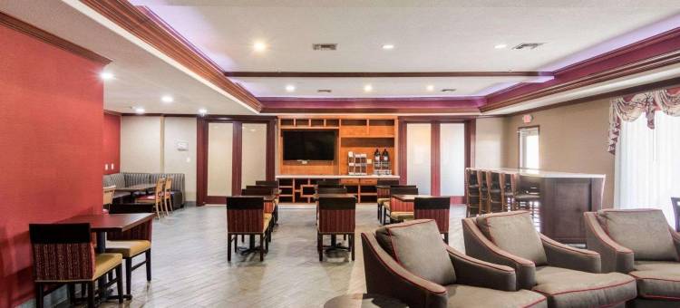 舒适套房酒店-盖恩斯维尔(Comfort Suites Gainesville)图片