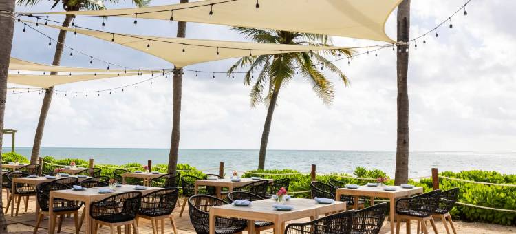 玛雅海滨Hyatt奇乐全包式酒店 - 限成人(Hyatt Zilara Riviera Maya)图片