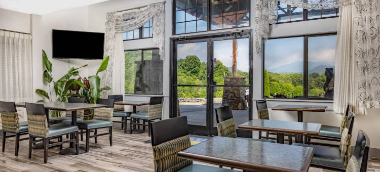 北卡罗来纳韦恩斯维尔温德姆戴斯酒店(Days Inn by Wyndham Waynesville NC)图片