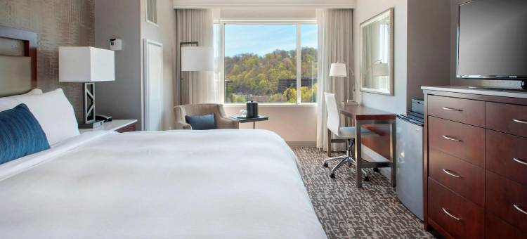 费城西万豪酒店(Marriott Philadelphia  West)图片