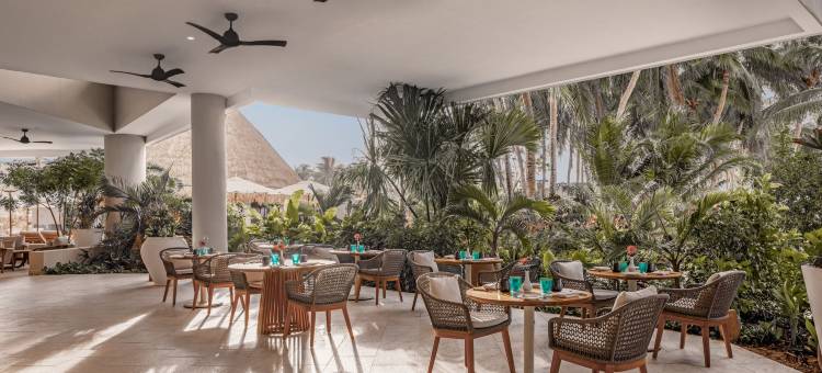坎昆女人岛阿尔玛雷豪华精选度假酒店，成人全包式(Almare, a Luxury Collection Resort, Isla Mujeres Cancun, Adult All-Inclusive)图片