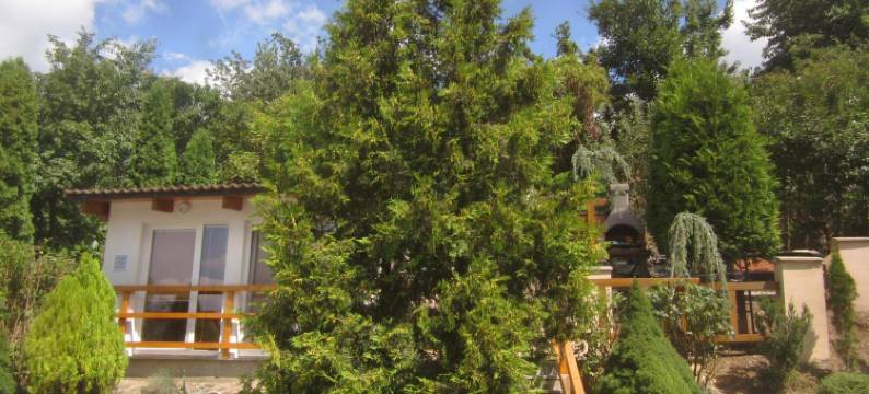 伊维卡别墅公寓(Spa & Pool Apartments Prestige Villa Ivica)图片