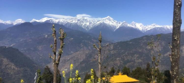 Soshing Homestay图片