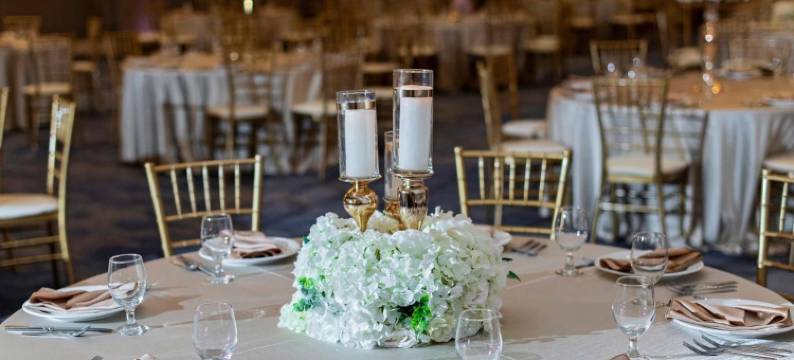 乔利埃特凯隆酒店及会议中心(Clarion Hotel & Convention Center Joliet)图片