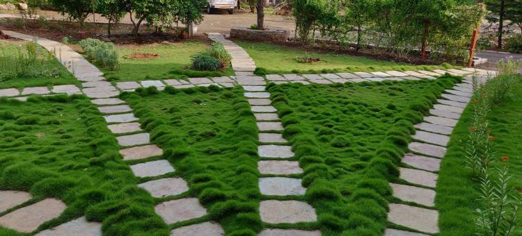 萨巴拉遗产之家(Sabala Heritage Home)图片