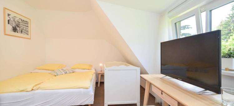 Kaštieľ Čičmany图片