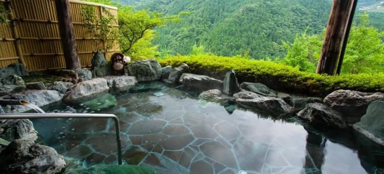 新祖谷温泉 蔓桥酒店(SHINIYAONSEN HOTEL KAZURABASHI)图片
