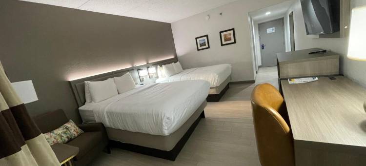 舒适酒店及套房锡拉丘兹-凯瑞尔圈(Comfort Inn & Suites Syracuse-Carrier Circle)图片