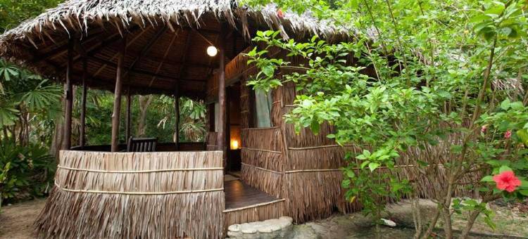 丛林度假酒店(Rimba Resort - Dive Centre & Spa)图片