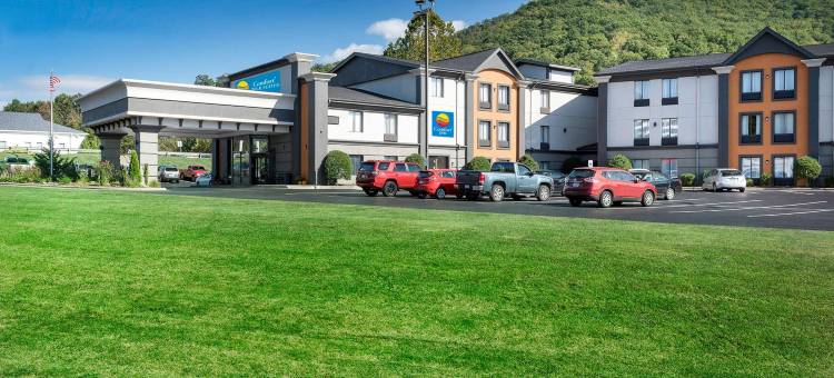 阿什维尔东-蓝岭山行车通道舒适酒店(Comfort Inn Asheville East-Blue Ridge Pkwy Access)图片