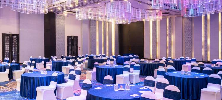 拉普萨亚吉酒店(Sayaji Raipur)图片