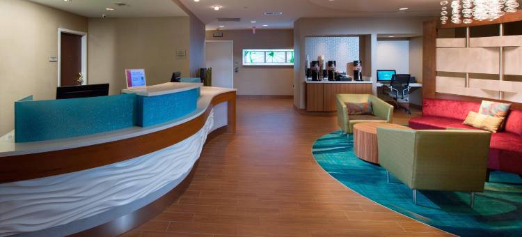 亚特兰大阿尔普哈雷塔万豪SpringHill酒店(SpringHill Suites Atlanta Alpharetta)图片