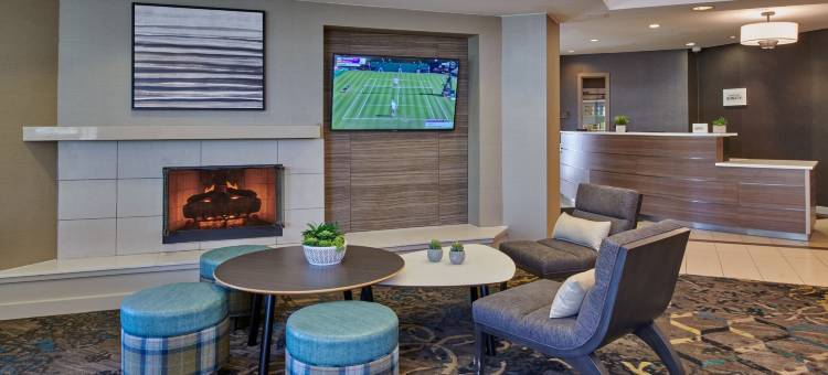 底特律诺维Residence Inn 酒店(Residence Inn Detroit Novi)图片