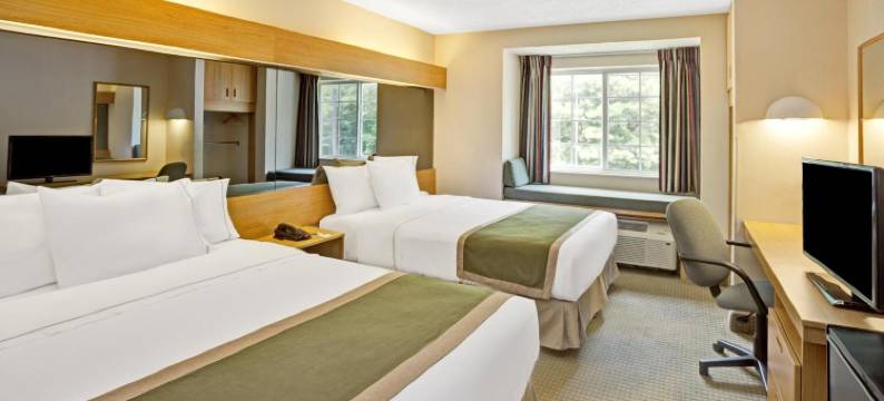 罗利达勒姆机场麦客达温德姆酒店及套房(Microtel Inn & Suites by Wyndham Raleigh Durham Airport)图片