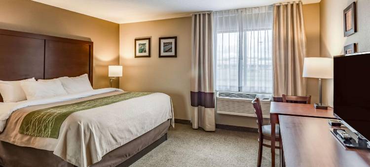 舒适酒店(Comfort Inn)图片