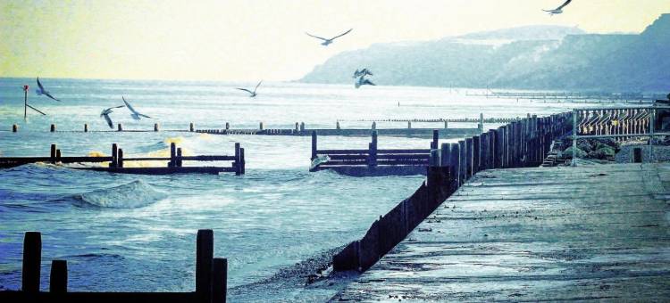 白马酒店(The White Horse)图片