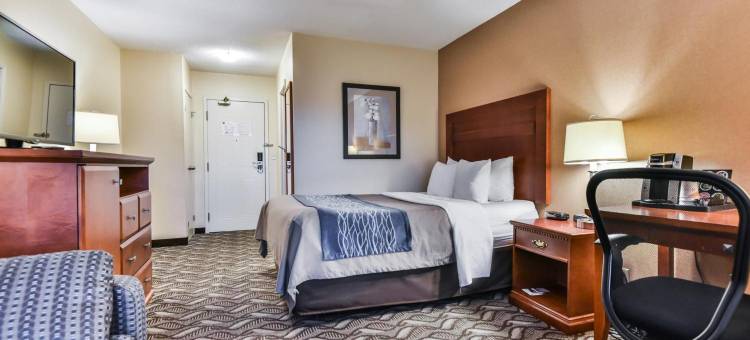 舒适酒店及套房大使桥(Comfort Inn & Suites Ambassador Bridge)图片