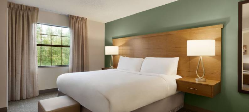 Staybridge Suites TAMPA EAST- BRANDON by IHG图片