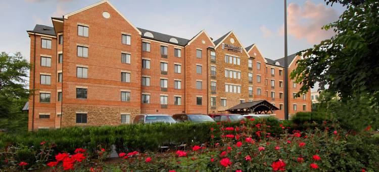 Staybridge Suites 麦克莱恩，泰森斯角(Staybridge Suites Tysons - McLean)图片
