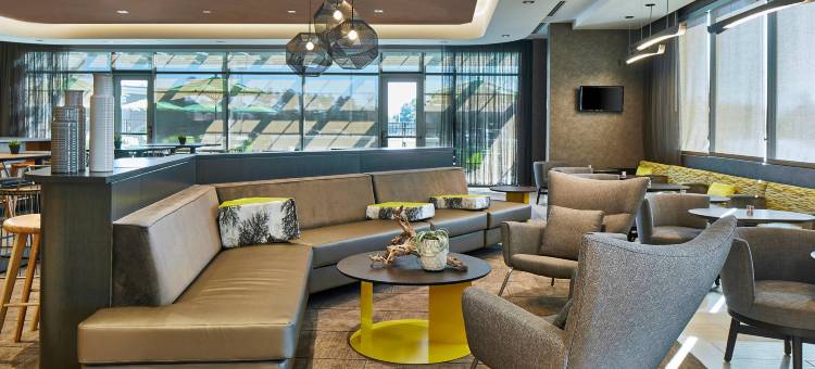 夏洛特卡罗温兹万豪SpringHill Suites酒店(SpringHill Suites Charlotte at Carowinds)图片