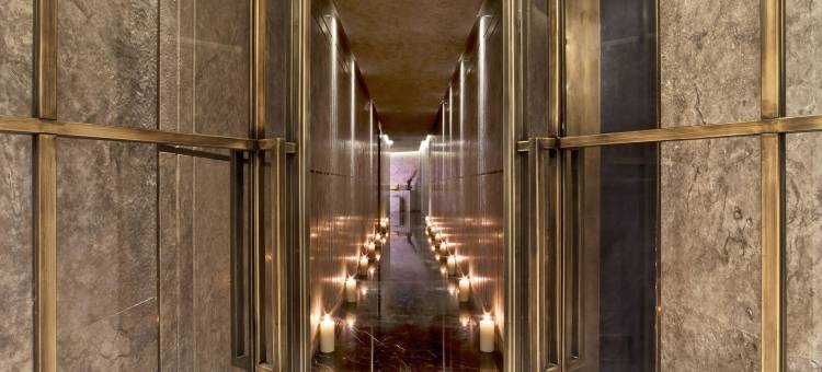 伊斯坦布尔瑞吉酒店(The St. Regis Istanbul)图片