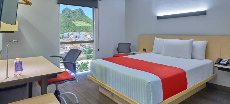 蒙特雷林达维斯塔城市快捷酒店(City Express by Marriott Monterrey Lindavista)图片