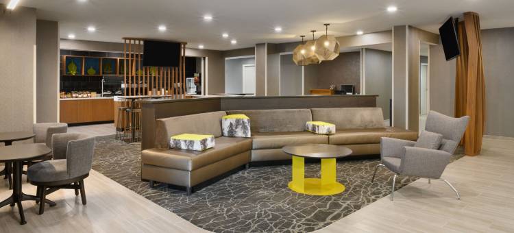 纽南SpringHill Suites 酒店(SpringHill Suites Newnan)图片
