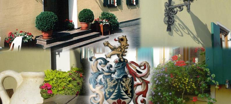 祖尔索奈旅馆(Gasthof Zur Sonne)图片