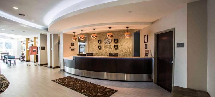 舒适套房酒店-罗德岱堡机场南游艇港(Comfort Suites Fort Lauderdale Airport South & Cruise Port)图片