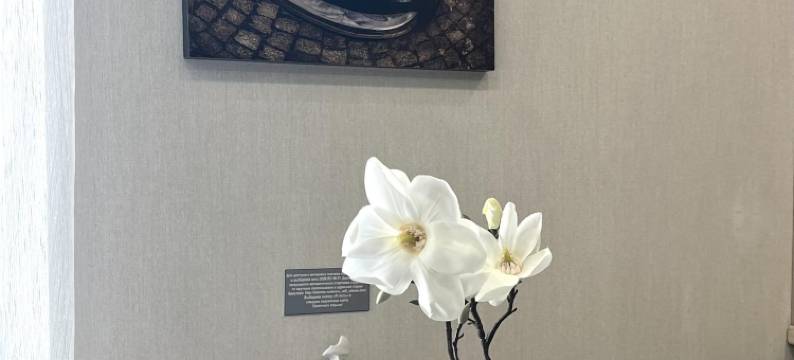 Chkalov&Hotel-22 Apart-Hotel图片