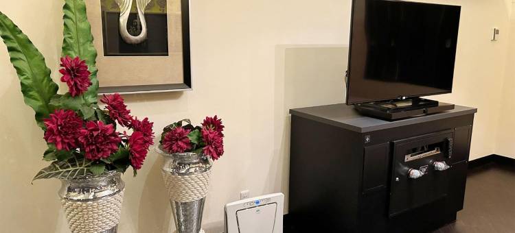 雷斯特酒店-岩槻-限大人(Restay Iwatsuki)图片