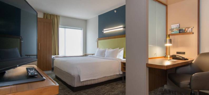 哥伦比亚市中心／维斯塔商业区万豪SpringHill酒店(SpringHill Suites Columbia Downtown/The Vista)图片